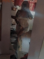 Photo #1