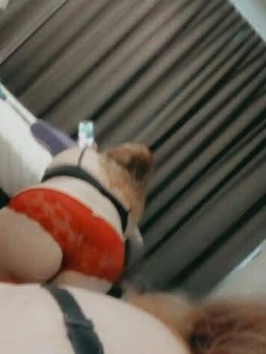 escort image