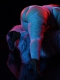 Photo #1