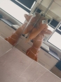 Photo #1
