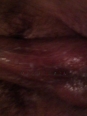 Photo #1