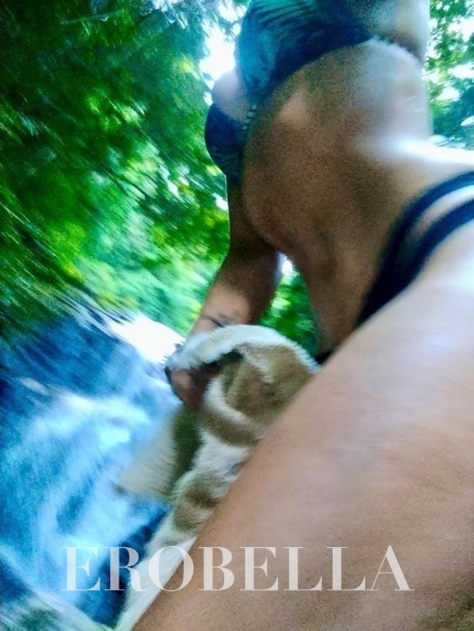 Photo #1