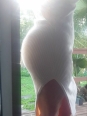 Photo #1