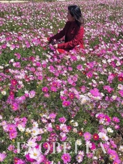 Photo #1