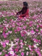 Photo #1