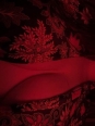 Photo #1