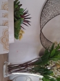 Photo #1