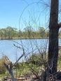 Photo #1
